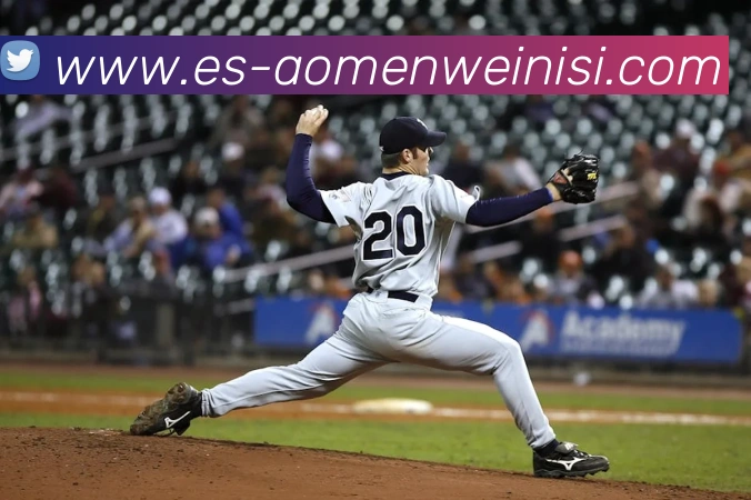 威尼斯人官网APP 封面图